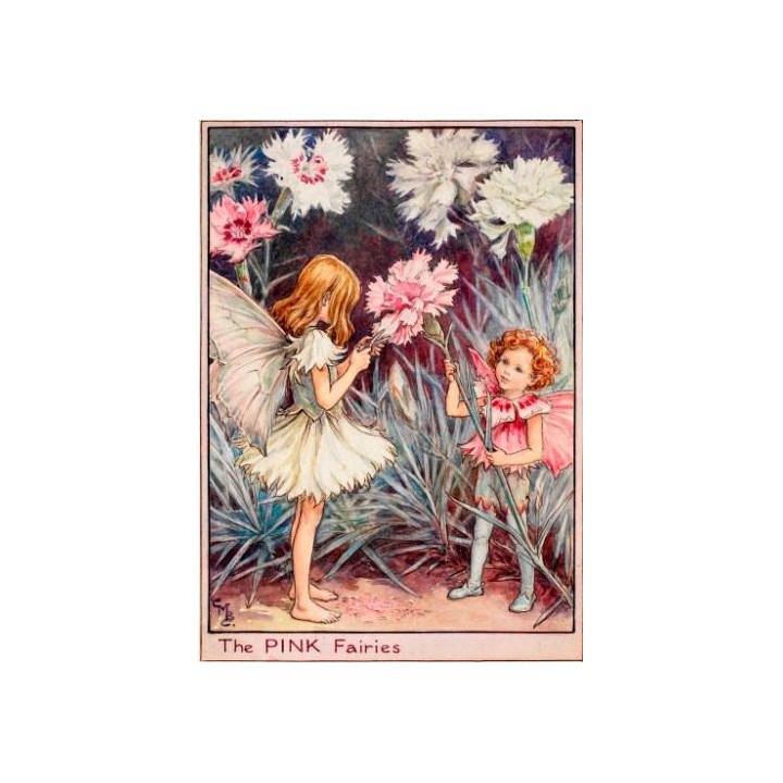 Postal de madera Hada Clavel rosa