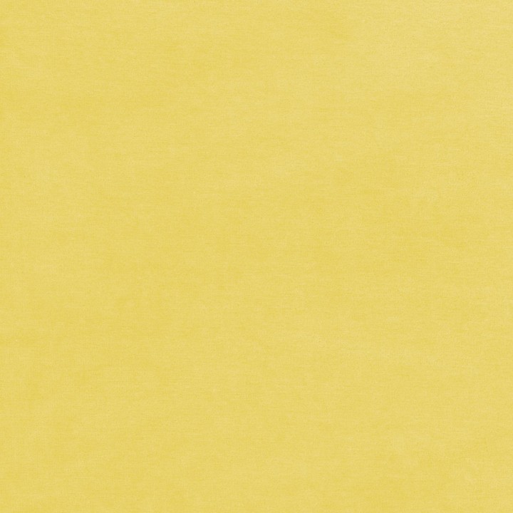 El pequeño libro de los animalitos