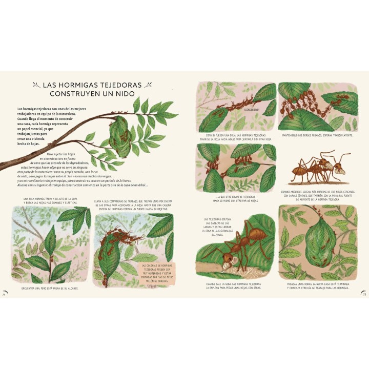 Con Calma, 50 historias de la naturaleza