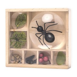 Caja de madera con lupas en la tapa
