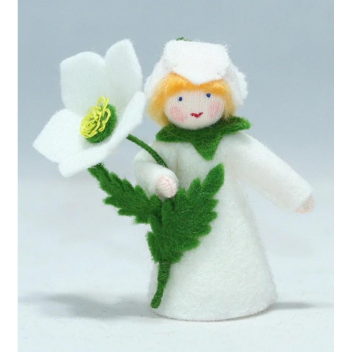 Niña flor Rosa de Navidad en mano