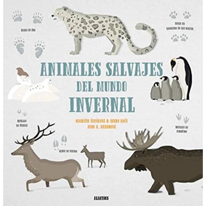 Animales salvajes del mundo invernal