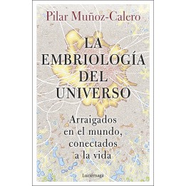 La embriología del universo