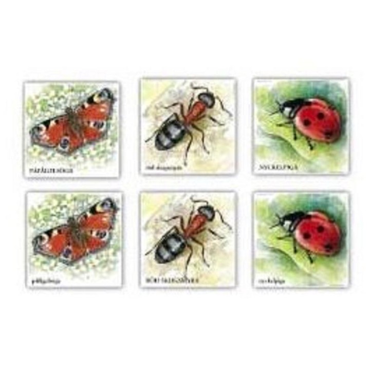 Memo de insectos