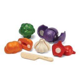SET 5 VEGETALES DE COLORES PLANTOYS