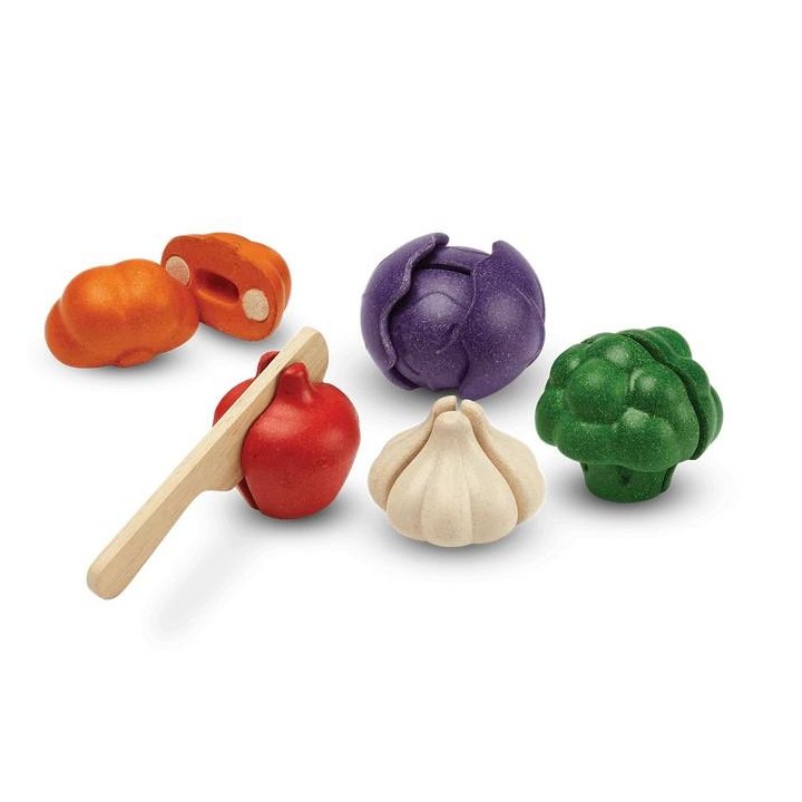 SET 5 VEGETALES DE COLORES PLANTOYS