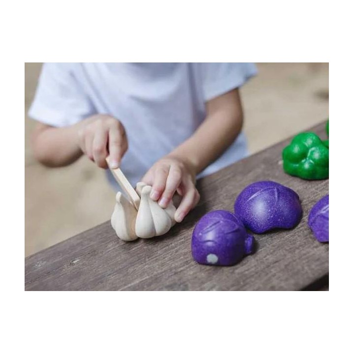SET 5 VEGETALES DE COLORES PLANTOYS