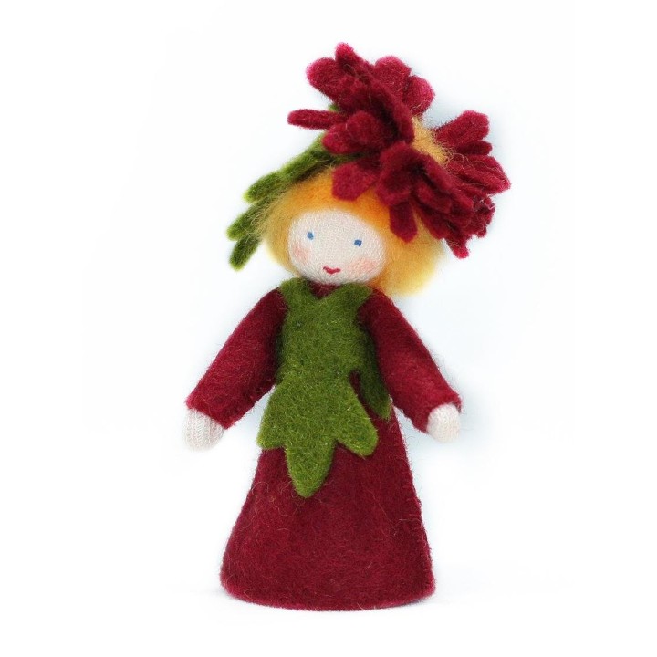 Muñeca flor asterácea