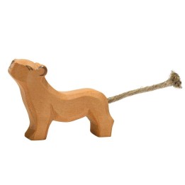 León cachorro andando.