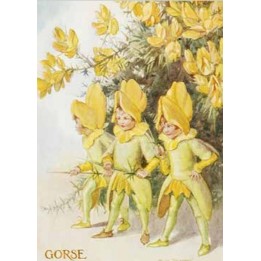Tarjeta Fairy Land 6