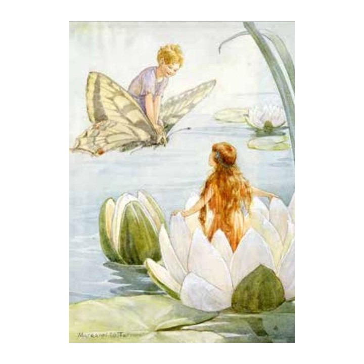 Tarjeta fairy land 3