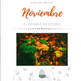 Guía del mes:  NOVIEMBRE. Un hogar conectado. Vivir con el ritmo estacional.