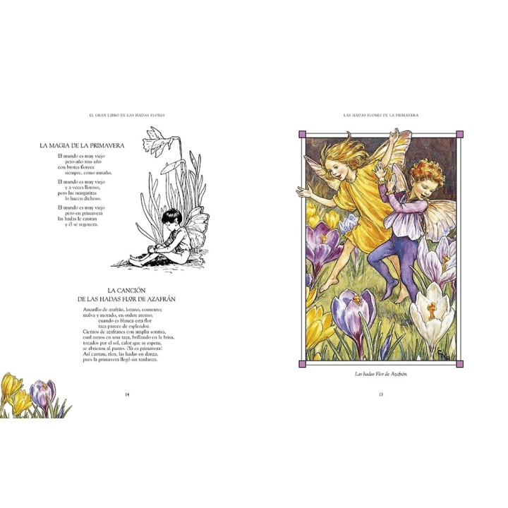 El gran libro de las hadas flores