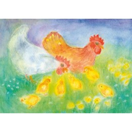 Postal - Gallina y gallos con pollitos