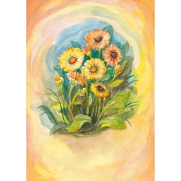 Postal - Calendula