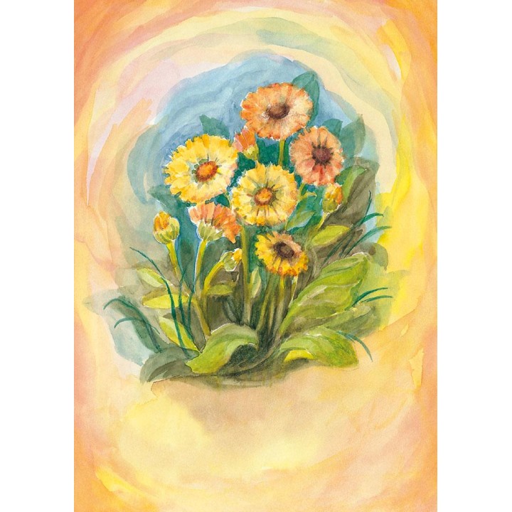Postal - Calendula