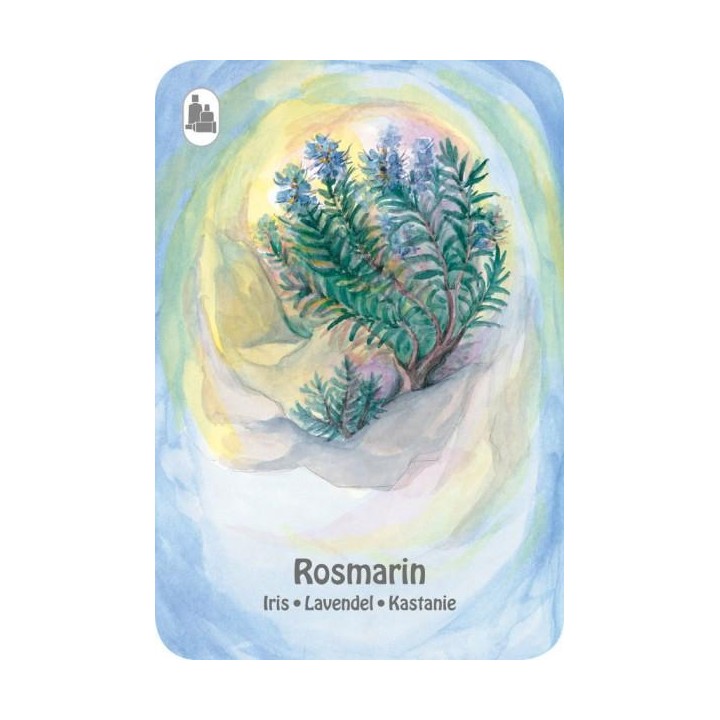 Juego de cartas Cuarteto de plantas