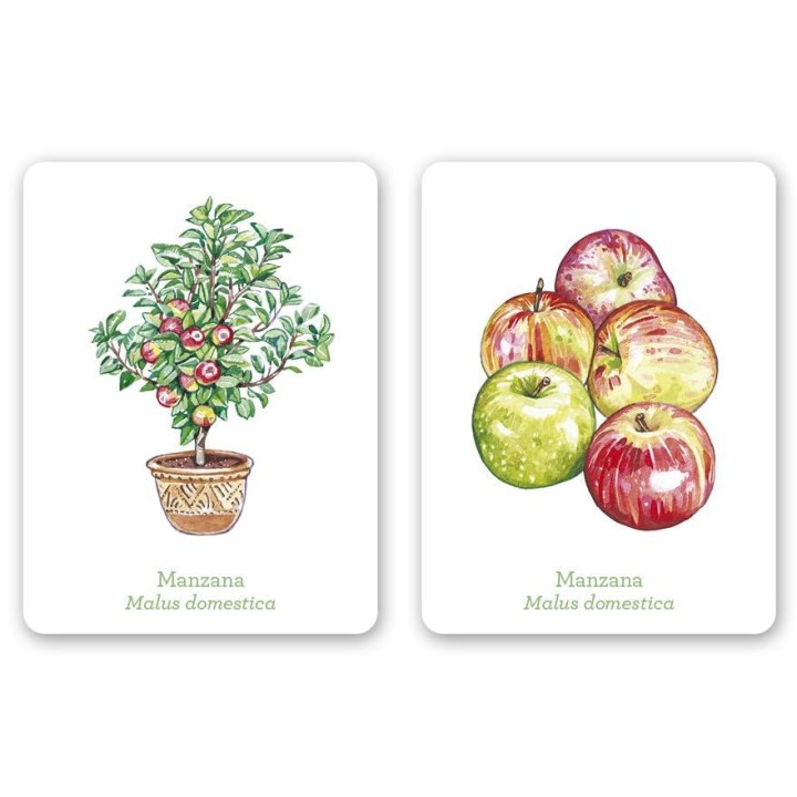 Una planta, un fruto