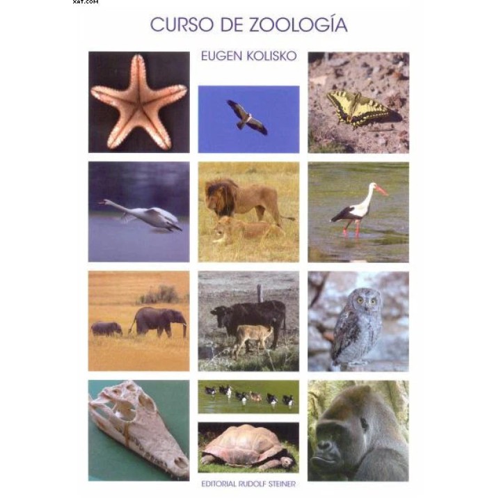 Curso de zoología
