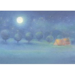 Postal La noche