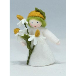 Niño flor camomila