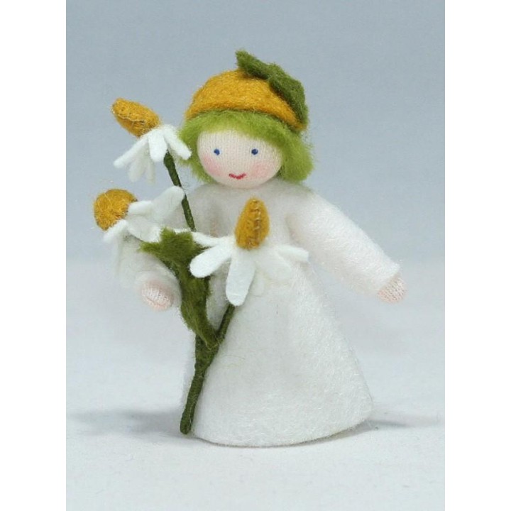 Niño flor camomila
