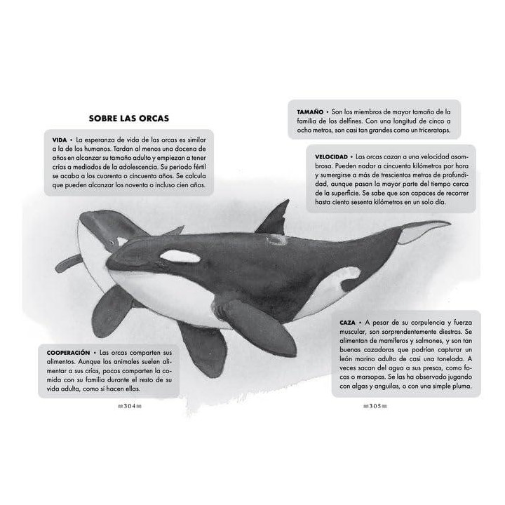 El canto de la orca