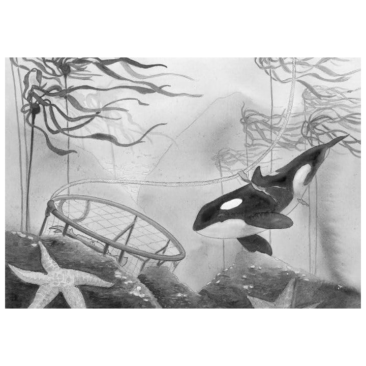 El canto de la orca