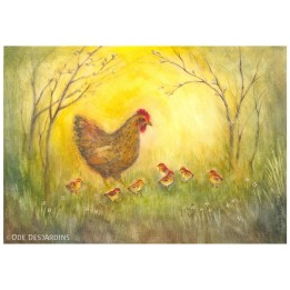 Lamina Primavera: Gallinas