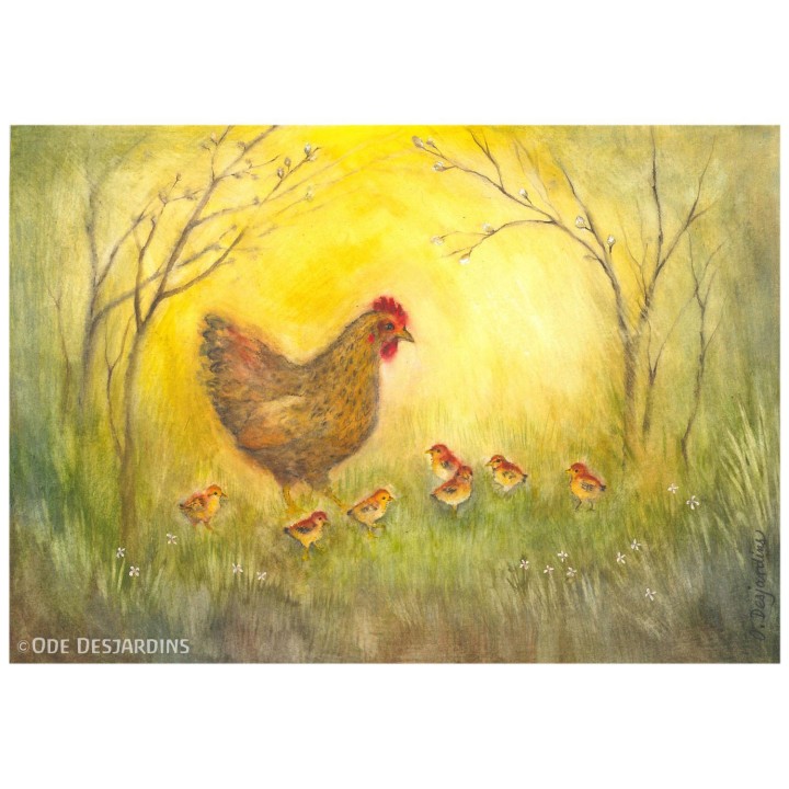 Lamina Primavera: Gallinas