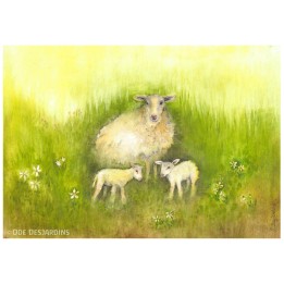 Lamina Primavera: Ovejas