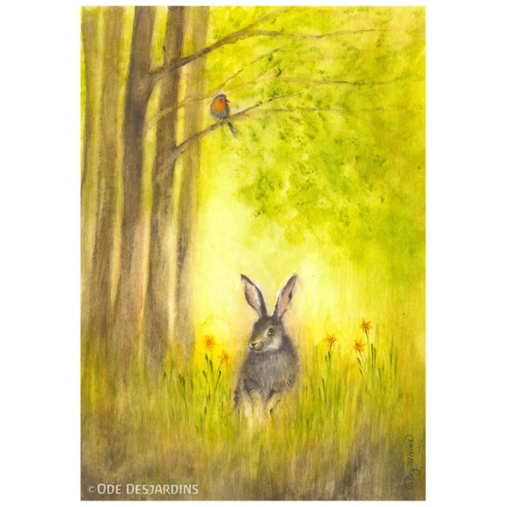 Lamina Primavera: Liebre