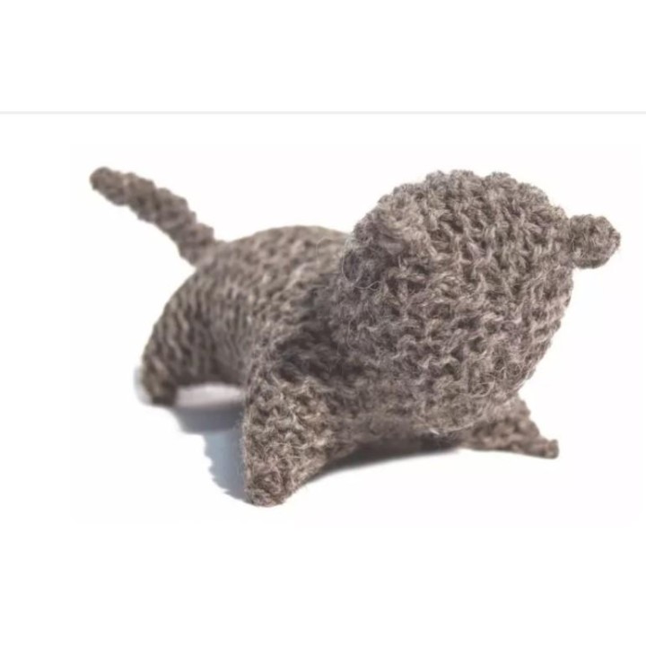 KIT PARA TEJER UN GATO