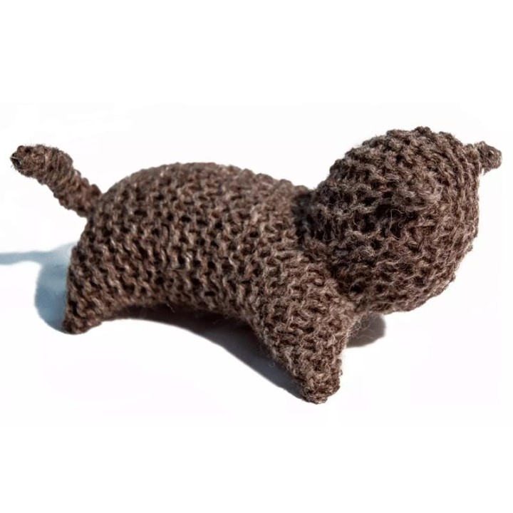 KIT PARA TEJER UN GATO