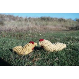 KIT PARA TEJER GALLINAS