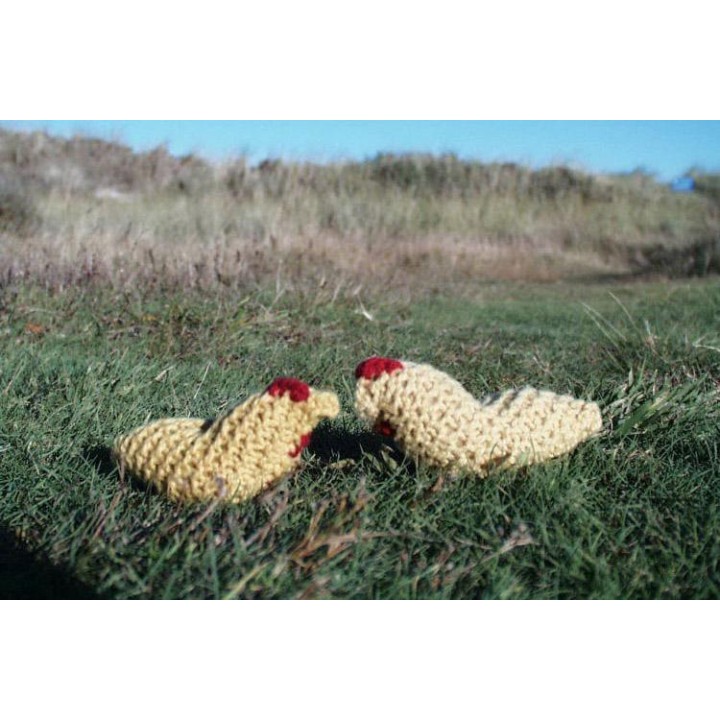 KIT PARA TEJER GALLINAS