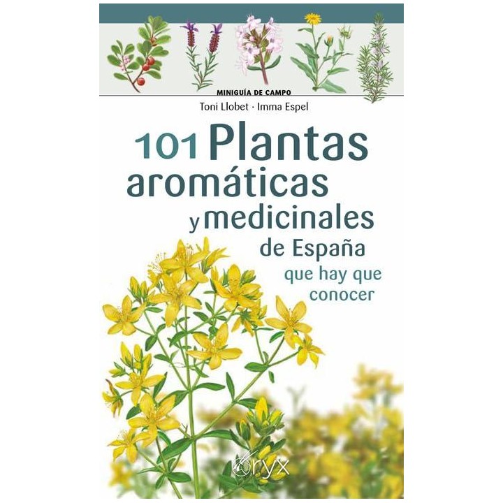101 Plantas Aromaticas Y Medicinales De España Que Hay Que Conocer