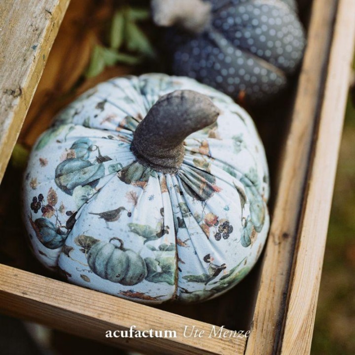 Tela de algodón orgánico  Huerto de calabazas