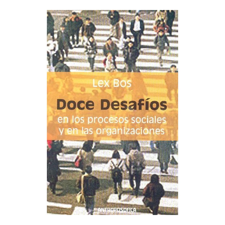 Doce Desafíos En Los Procesos Sociales Y En Las Organizaciones