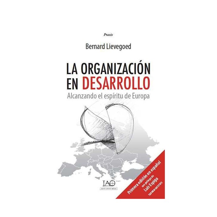 La organización en desarrollo