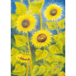 Postal - Girasoles