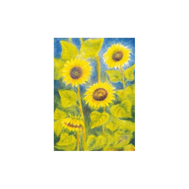 Postal - Girasoles