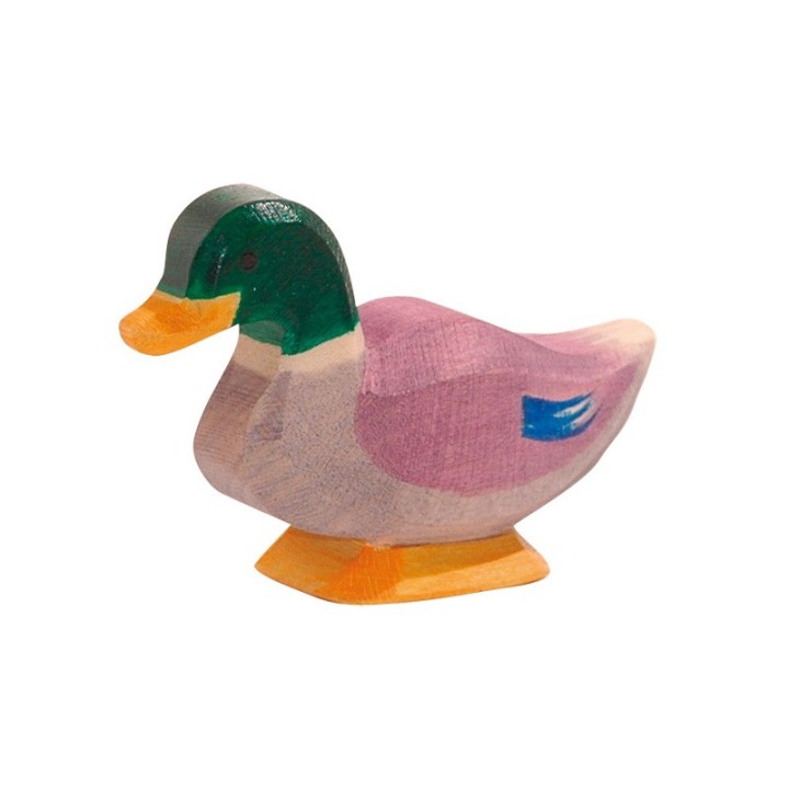 Patos - Pato.