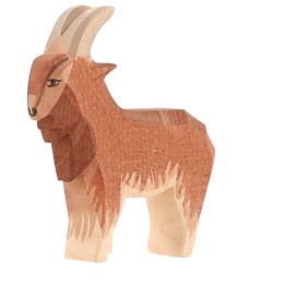 Chivo.