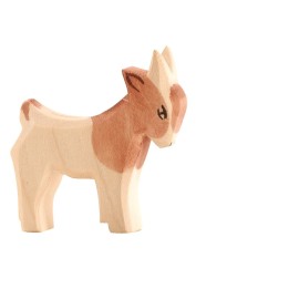 Cabrito