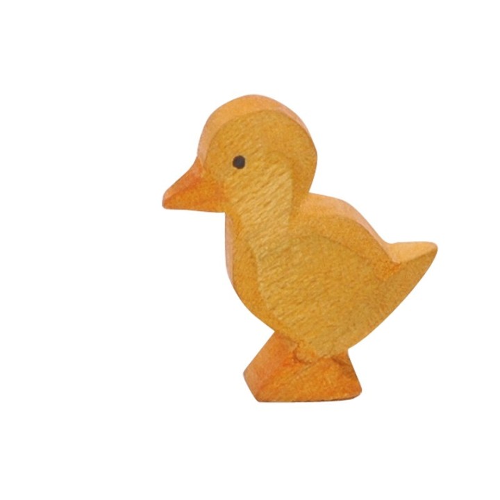 Patos - Pato pollito.