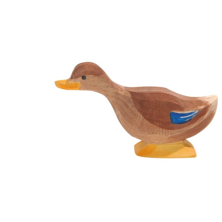 Patos - Pata cuello largo.