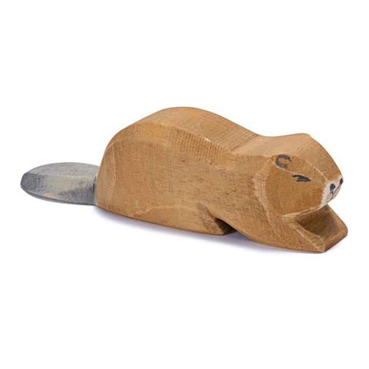 Castor tumbado.