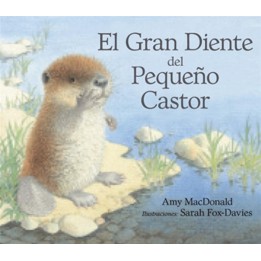 El gran diente del pequeño castor.