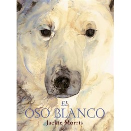 El oso blanco.